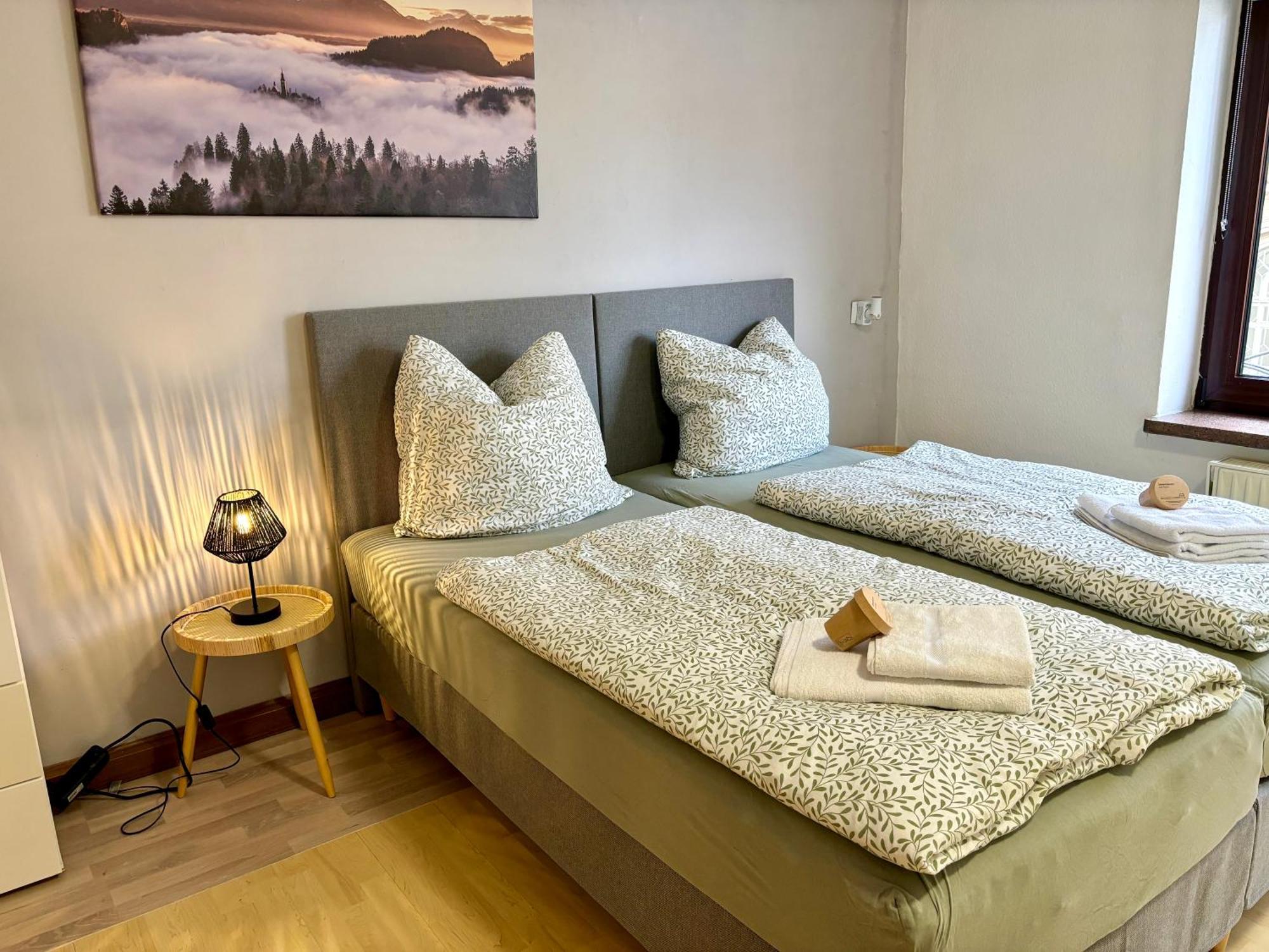 Harmony - Ganzes Appartement 3 Schlafzimmer City 마이닝겐 외부 사진